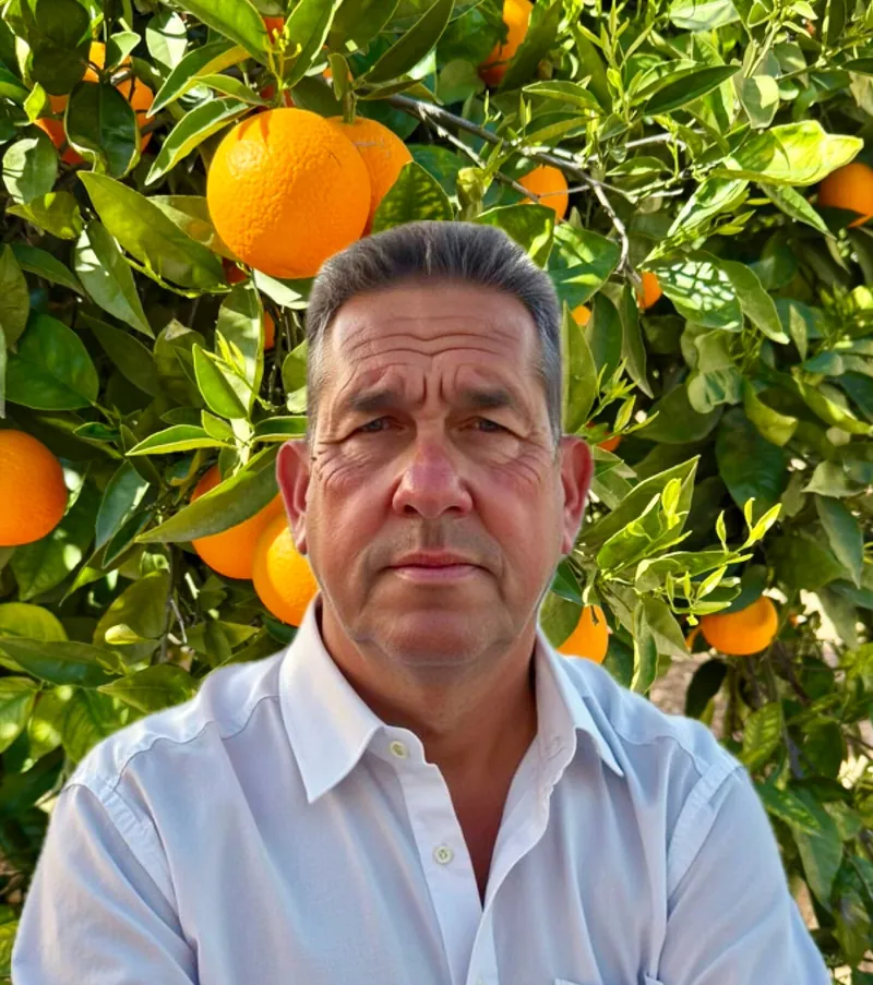 Helge Büchner vor einem Orangenbaum mit reifen Früchten